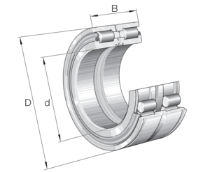 Immagine di Cuscinetto radiale a rulli cilindrici